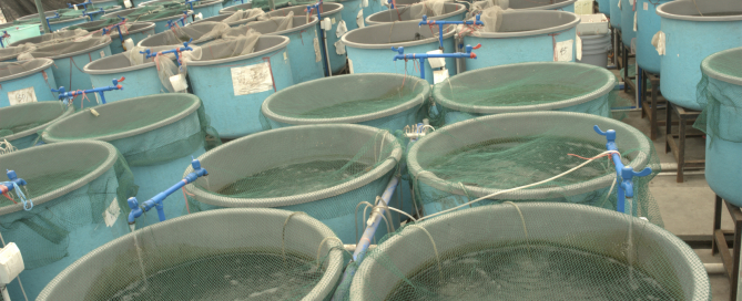 Agriculture aquaculture water system farm