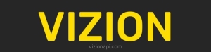 vizion logo